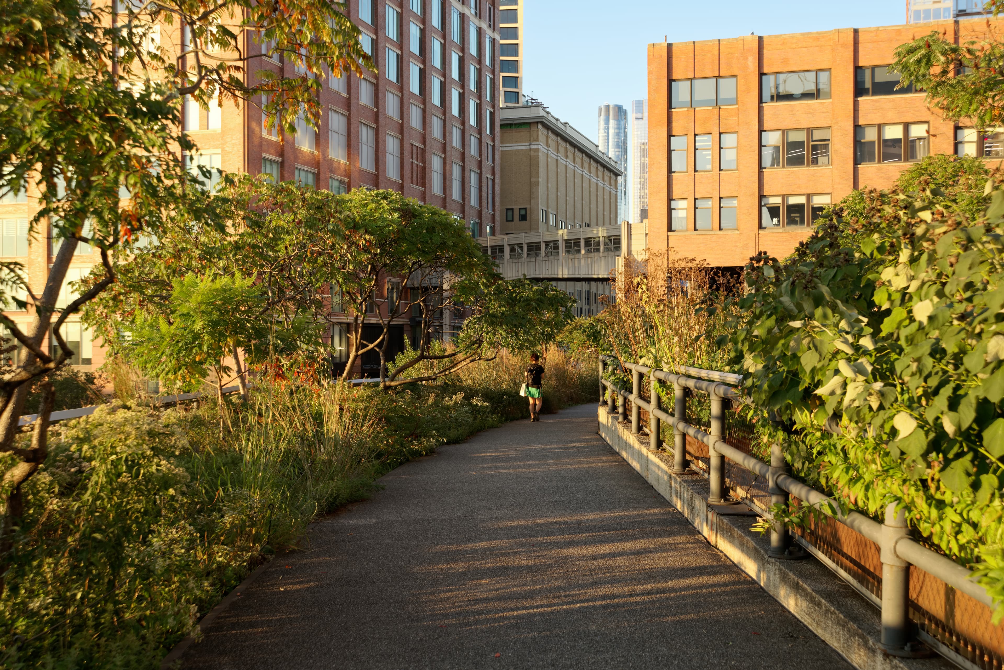 The High Line park in 2023 — visitors walking the elevated path, with Manhattan buildings to either side.